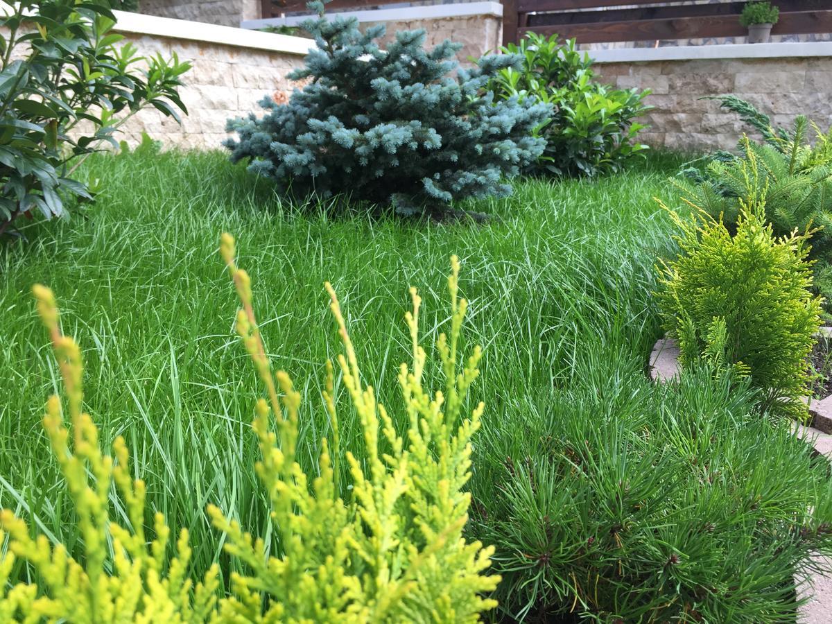 Garden Apart Predeal Zewnętrze zdjęcie
